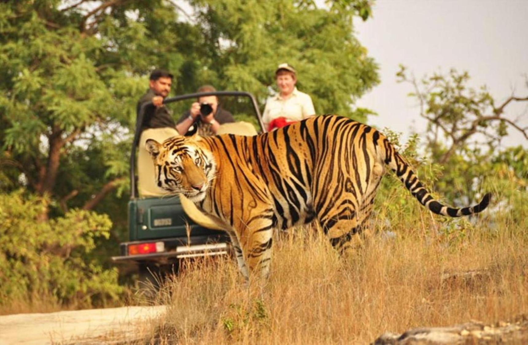 The Vanashrya Ranthambore Hotell Khilchīpur Exteriör bild